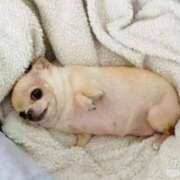 ヒメ日記 2025/10/10 14:05 投稿 もえ 熟女の風俗最終章　越谷店