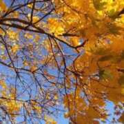 ヒメ日記 2025/11/28 11:52 投稿 もえ 熟女の風俗最終章　越谷店