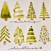 ヒメ日記 2025/12/09 13:58 投稿 もえ 熟女の風俗最終章　越谷店