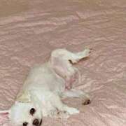 もえ お願いにゃん♡ 熟女の風俗最終章　越谷店