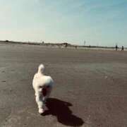 もえ ん… 熟女の風俗最終章　越谷店