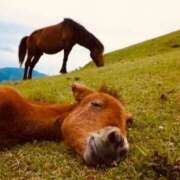 ヒメ日記 2026/01/05 15:12 投稿 もえ 熟女の風俗最終章　越谷店