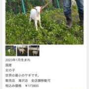 ヒメ日記 2026/01/08 13:12 投稿 もえ 熟女の風俗最終章　越谷店