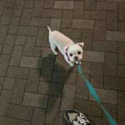 ヒメ日記 2026/02/04 17:52 投稿 もえ 熟女の風俗最終章　越谷店