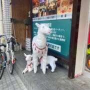 ヒメ日記 2025/08/09 21:42 投稿 もえ 熟女の風俗最終章 西川口店