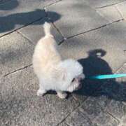 ヒメ日記 2025/08/16 13:22 投稿 もえ 熟女の風俗最終章 西川口店