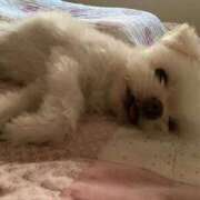 ヒメ日記 2025/08/26 18:10 投稿 もえ 熟女の風俗最終章 西川口店