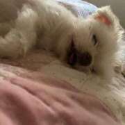 ヒメ日記 2025/09/14 18:02 投稿 もえ 熟女の風俗最終章 西川口店