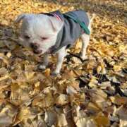 ヒメ日記 2025/12/20 12:29 投稿 もえ 熟女の風俗最終章 西川口店