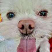 ヒメ日記 2026/01/10 13:22 投稿 もえ 熟女の風俗最終章 西川口店