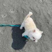 もえ ごめんなさい(u_u) 熟女の風俗最終章 西川口店