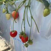 ヒメ日記 2026/03/01 16:51 投稿 もえ 熟女の風俗最終章 西川口店