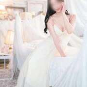 ヒメ日記 2025/08/31 11:00 投稿 野々宮せんり ゴールドクイーン