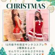 ヒメ日記 2025/12/02 11:42 投稿 野々宮せんり ゴールドクイーン