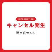 ヒメ日記 2025/12/18 10:50 投稿 野々宮せんり ゴールドクイーン