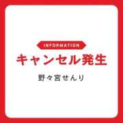 ヒメ日記 2026/02/03 12:20 投稿 野々宮せんり ゴールドクイーン