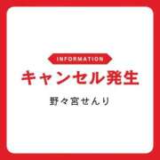 ヒメ日記 2026/02/20 12:50 投稿 野々宮せんり ゴールドクイーン