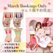 ヒメ日記 2026/02/28 00:40 投稿 野々宮せんり ゴールドクイーン