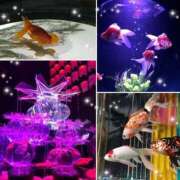 ヒメ日記 2025/09/02 14:26 投稿 美桜奈(みおな) 人妻出逢い会 百合の園 品川店