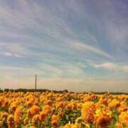 美桜奈(みおな) 明日から(๑˃̵ᴗ˂̵)و ! 人妻出逢い会 百合の園 品川店