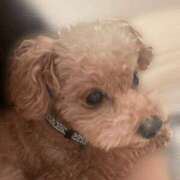 ヒメ日記 2025/11/02 20:46 投稿 あや★S級新卒18歳の超新星★ 渋谷S級素人清楚系デリヘル chloe