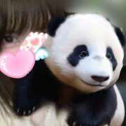 ヒメ日記 2025/09/04 02:24 投稿 ゆめ 多恋人 新宿店