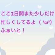 ヒメ日記 2025/11/15 02:41 投稿 ゆめ 多恋人 新宿店