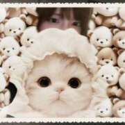 ヒメ日記 2025/11/25 23:44 投稿 ゆめ 多恋人 新宿店