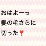 ヒメ日記 2025/12/11 09:14 投稿 ゆめ 多恋人 新宿店