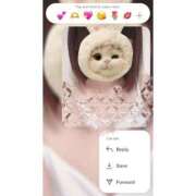 ヒメ日記 2025/12/11 19:54 投稿 ゆめ 多恋人 新宿店