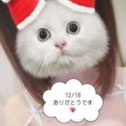 ゆめ ただいまっ 多恋人 新宿店