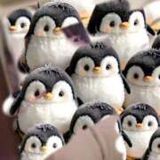 ヒメ日記 2026/01/10 01:50 投稿 ゆめ 多恋人 新宿店