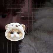 ヒメ日記 2026/01/30 03:04 投稿 ゆめ 多恋人 新宿店