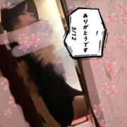 ヒメ日記 2026/03/13 00:52 投稿 ゆめ 多恋人 新宿店