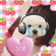 ヒメ日記 2026/03/23 23:23 投稿 ゆめ 多恋人 新宿店