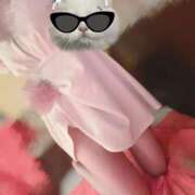 ヒメ日記 2026/03/24 15:25 投稿 ゆめ 多恋人 新宿店