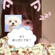 ヒメ日記 2026/04/01 22:51 投稿 ゆめ 多恋人 新宿店