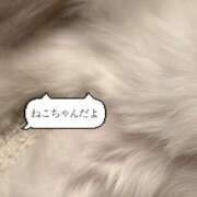 ゆめ はやくあいたいね 多恋人 新宿店