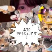 ゆめ 爆睡‼️ 多恋人 新宿店