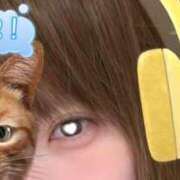 ヒメ日記 2026/04/23 00:41 投稿 ゆめ 多恋人 新宿店