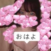 ヒメ日記 2026/05/12 11:35 投稿 ゆめ 多恋人 新宿店