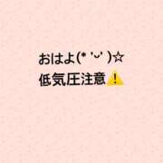 ヒメ日記 2026/07/06 10:13 投稿 ゆめ 多恋人 新宿店