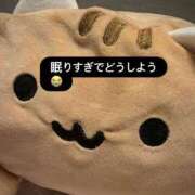 ゆめ 😭ねむい😭 多恋人 新宿店