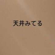 ゆめ わん 多恋人 新宿店