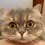 ヒメ日記 2025/10/18 20:21 投稿 もえ OOPS(オップス)