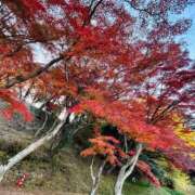 しの(人妻) おはようございます?? THE・TRY