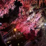 しの(人妻) 退勤しました(*^^*) THE・TRY