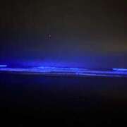 ヒメ日記 2025/12/02 23:36 投稿 しの(人妻) THE・TRY