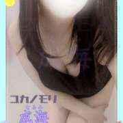 ヒメ日記 2025/08/02 13:02 投稿 成海（なるみ） ユカノモリ