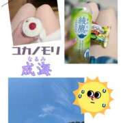 ヒメ日記 2025/08/06 00:37 投稿 成海（なるみ） ユカノモリ